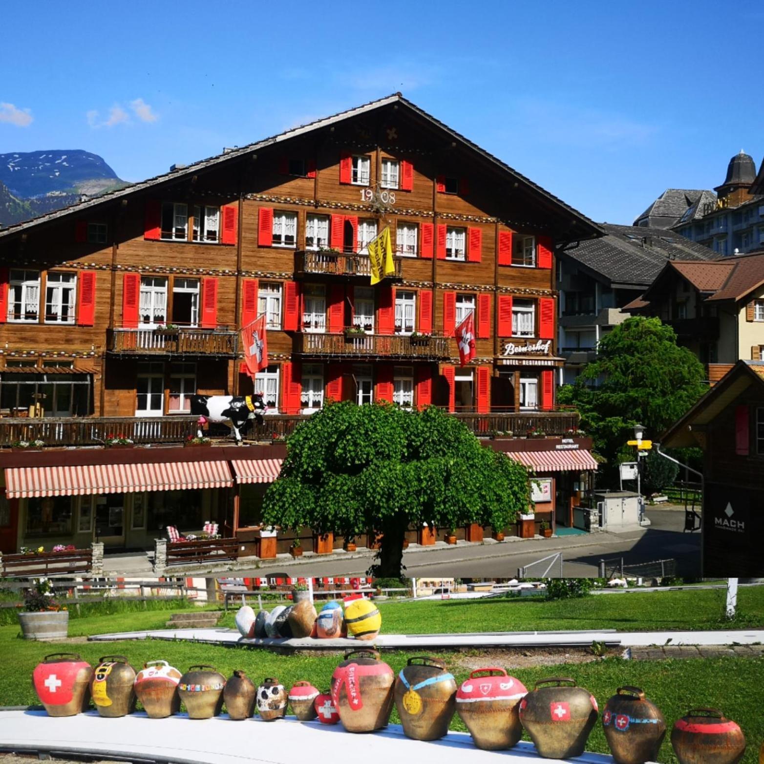 Swiss Bernerhof Penzion 5*
