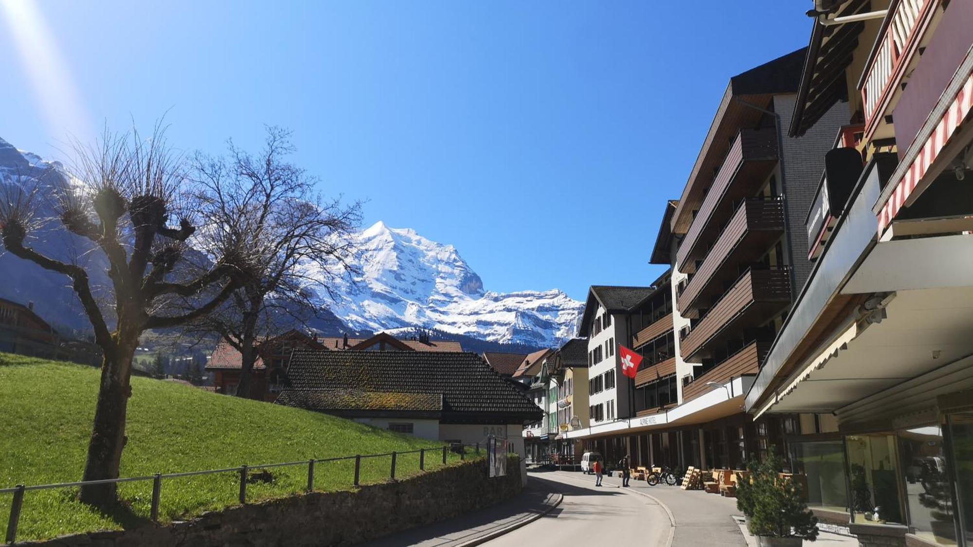 Swiss Bernerhof Penzion 5*